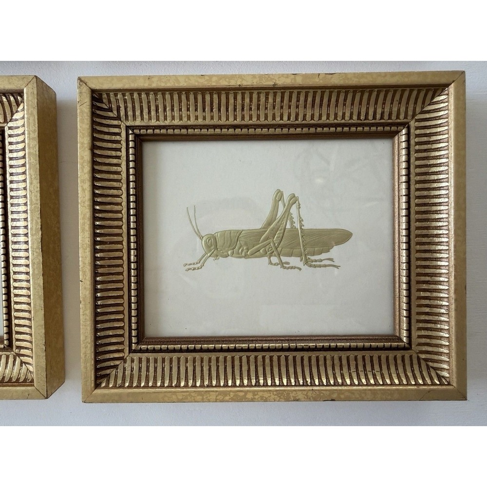 2005 "Bugs of Gold" Embossed Insect Prints – Kevin Lahvic – Gold Frames - Pier 1 - Picture 5 of 12